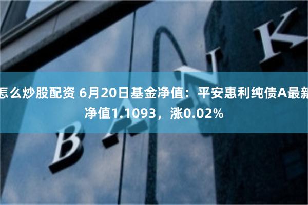 怎么炒股配资 6月20日基金净值：平安惠利纯债A最新净值1.1093，涨0.02%