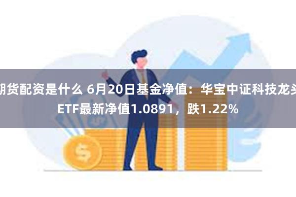 期货配资是什么 6月20日基金净值：华宝中证科技龙头ET