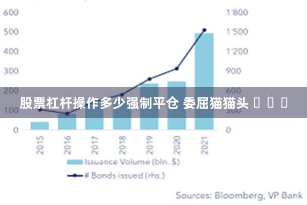 股票杠杆操作多少强制平仓 委屈猫猫头 ​​​