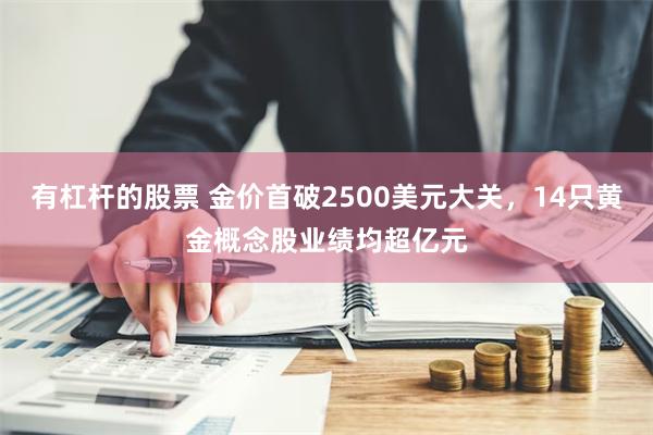 有杠杆的股票 金价首破2500美元大关，14只黄金概念股业绩均超亿元