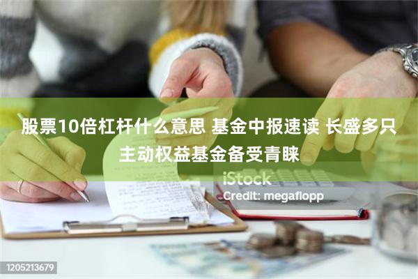 股票10倍杠杆什么意思 基金中报速读 长盛多只主动权益基金备受青睐