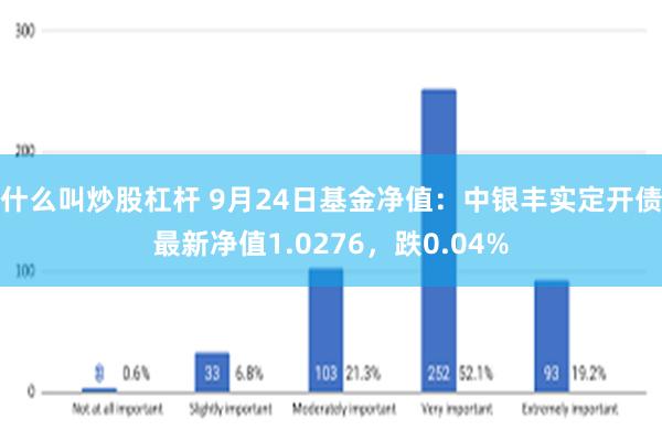 什么叫炒股杠杆 9月24日基金净值：中银丰实定开债最新净